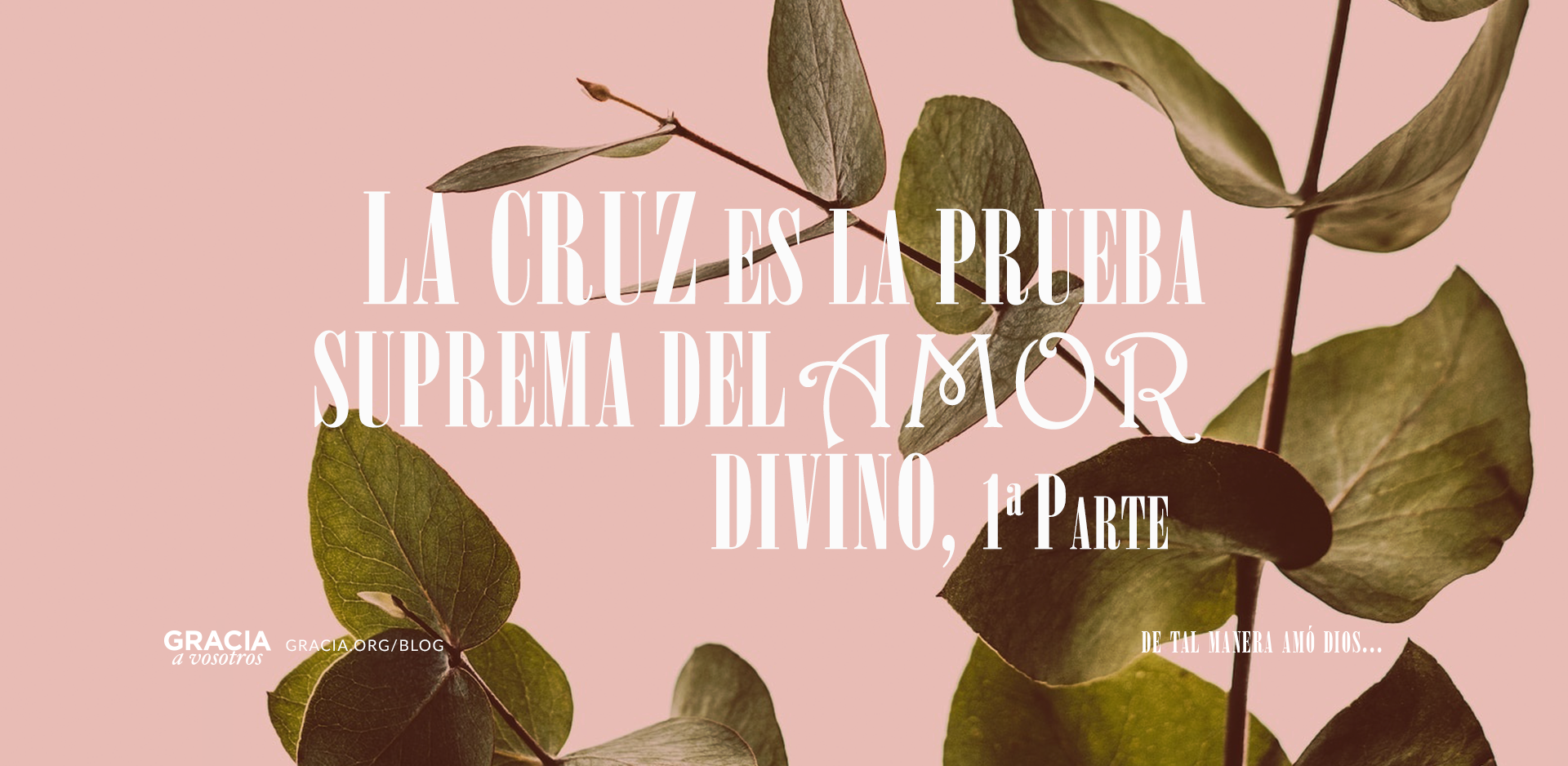 La Cruz es la Prueba Suprema del Amor Divino, 1ª Parte